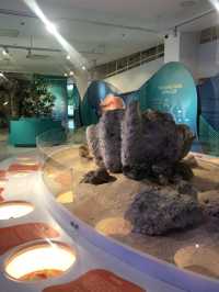 Museum 