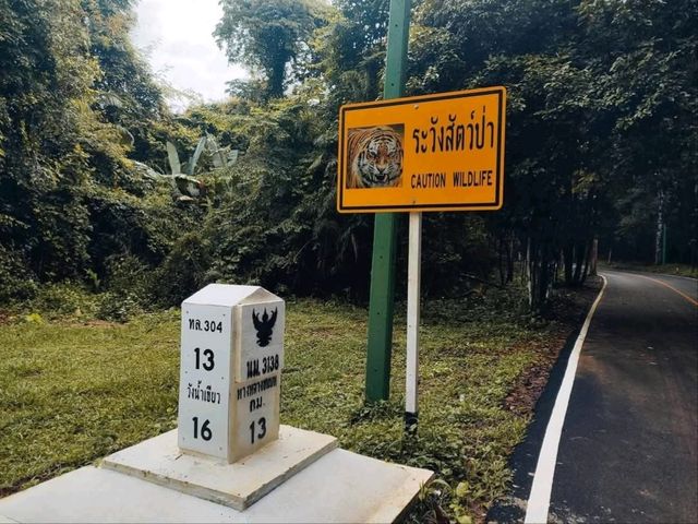 ผาเก็บตะวัน อุทยานแห่งชาติทับลาน