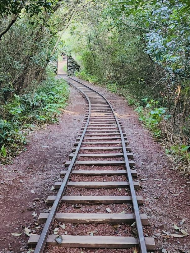 Jeju's Magical Photo Forest: Sanyang Keunkot Review
