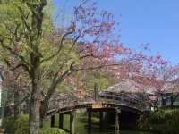 Cherry Blossoms in April: Japan's Hidden Garden Gems