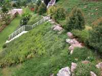 The peak flower land