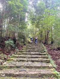 大門阪：那智的古道石梯🏞️🪨