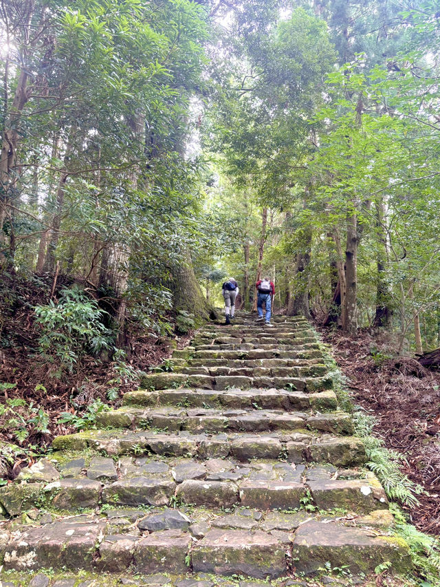 大門阪：那智的古道石梯🏞️🪨