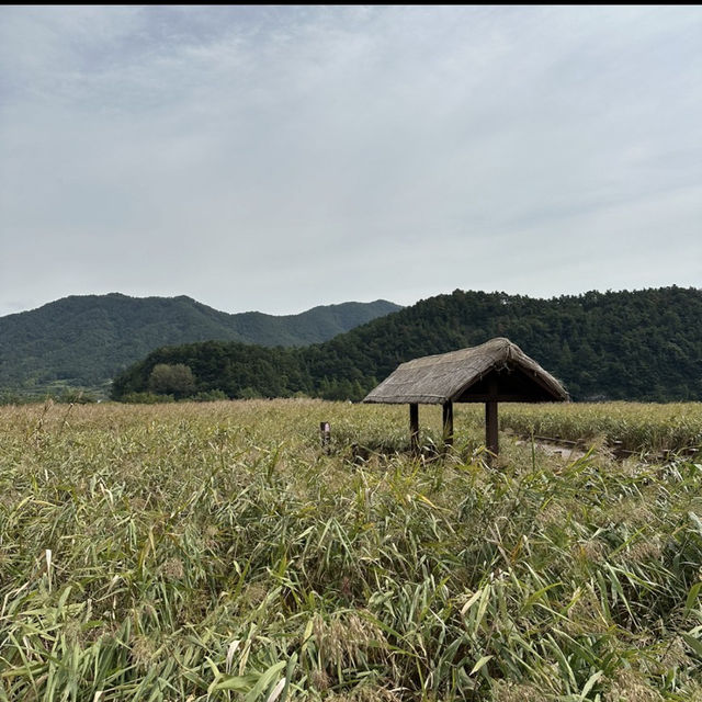 スンチョン湾湿地