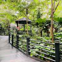 The KLIA Jungle Boardwalk
