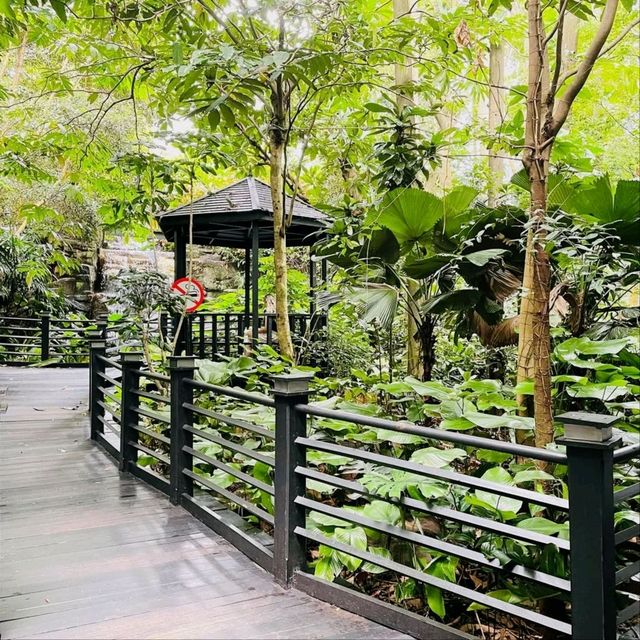 The KLIA Jungle Boardwalk The KLIA Jungle Boardwalk