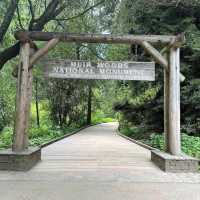 Muir Woods National Monument – Mill Valley, CA
