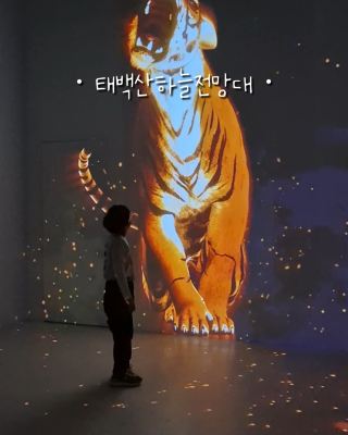 태백산호랑이가 살고  있는[태백산하늘전망대]