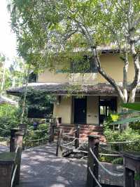 ที่พักเกาะช้าง Pet Friendly 