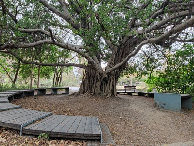 #巴克禮紀念公園-臺南市東區