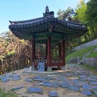 Suwon: A Harmonious Blend of History and Modernity