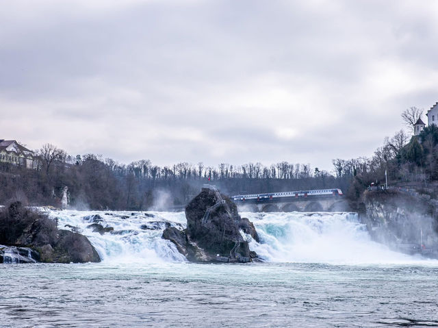 น้ำตกไรน์ (Rhine Falls)