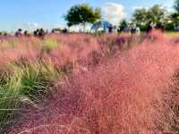 Title: Haneul Park: Seoul’s Heavenly Hilltop with a View