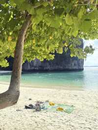 Discover the Hidden Paradise