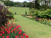 Pashley Manor Gardens – A Timeless English Country Garden