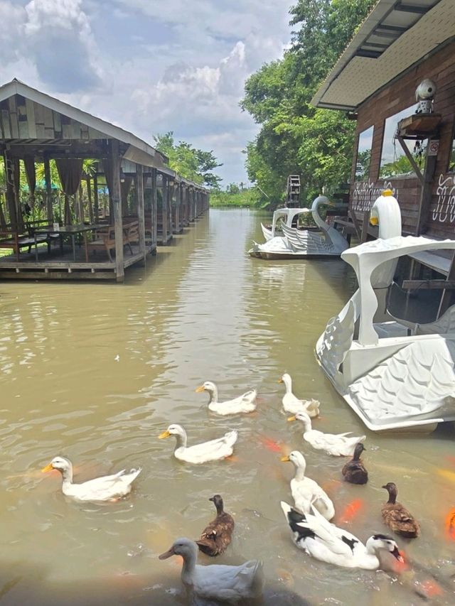 ครัวบ้านไทรน้อย กินในสวน มีคลอง เรือ เป็ด ปลา ครบ