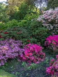 Bodnant Garden – A Living Masterpiece in the Heart of North Wales