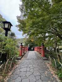 Izu's Bamboo Forest Path: A Whispering Green Tunnel Through Time