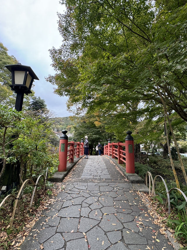 Izu's Bamboo Forest Path: A Whispering Green Tunnel Through Time