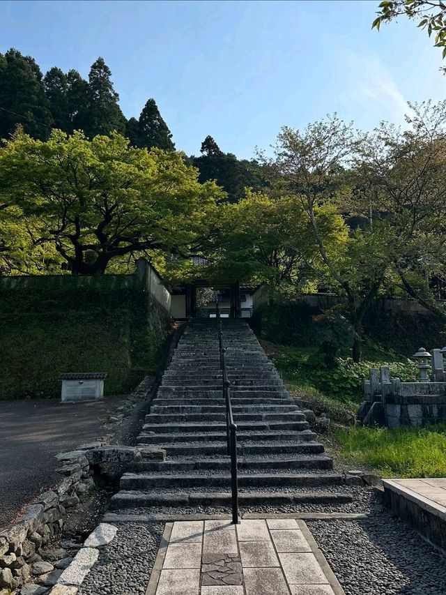 Akizuki Town in Spring