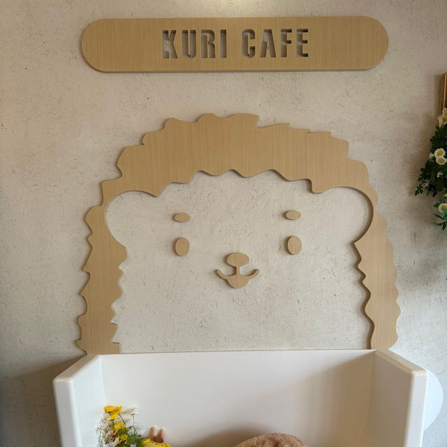 香港首間刺蝟主題cafe🦔