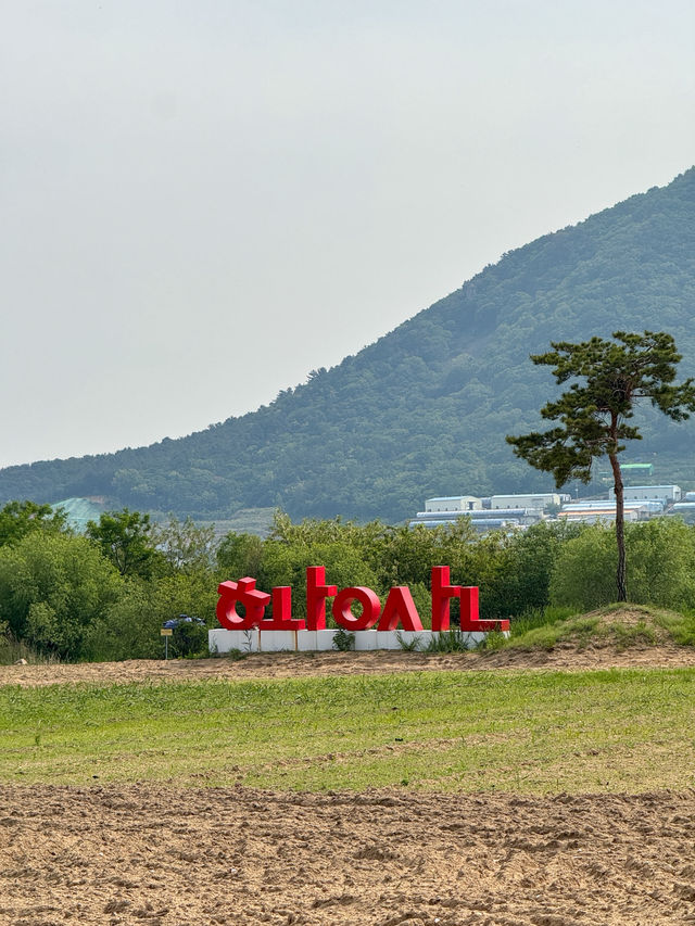 꽃보며 산책하기 좋은 ‘황산공원’