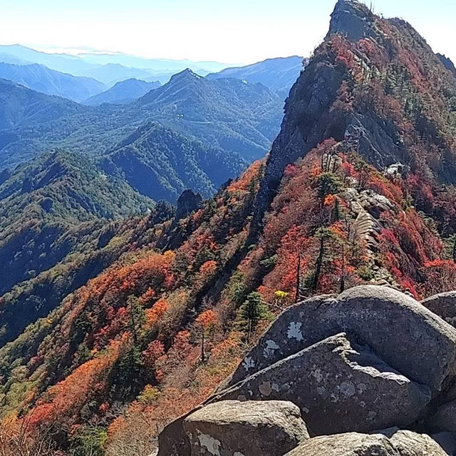 🇯🇵【愛媛県】こんなところに！石鎚神社中宮成就社⛩️(^ ^)