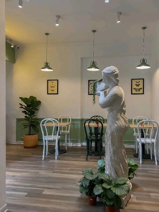 Gusto Coffee Tree