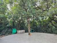Doumen Public Park