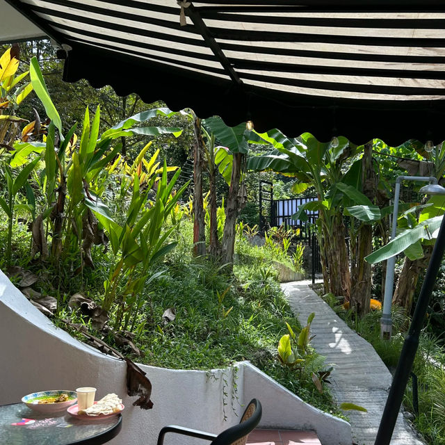 🌿 Escape Into Nature – Without Leaving KL!