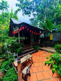 Hidden Garden, Hidden Vibes