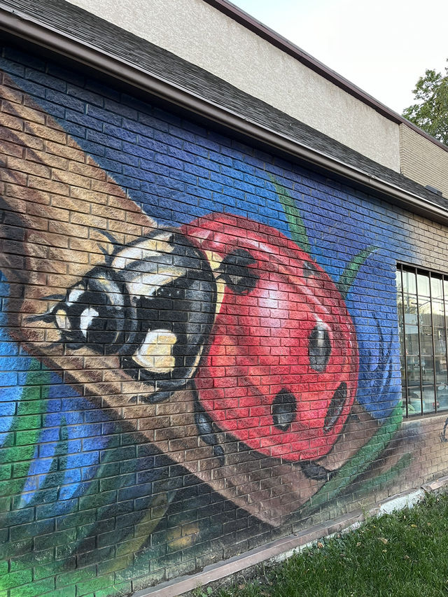 Albert Street 13th Ave—My favorite street in Canada
