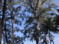 ทะเลท้ายเหมืองพังงาสวยมาก