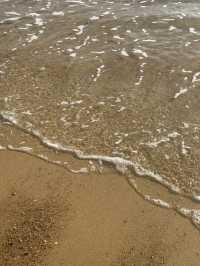 🏖️ 가족과 함께 즐거운 추억을, 천리포해수욕장 