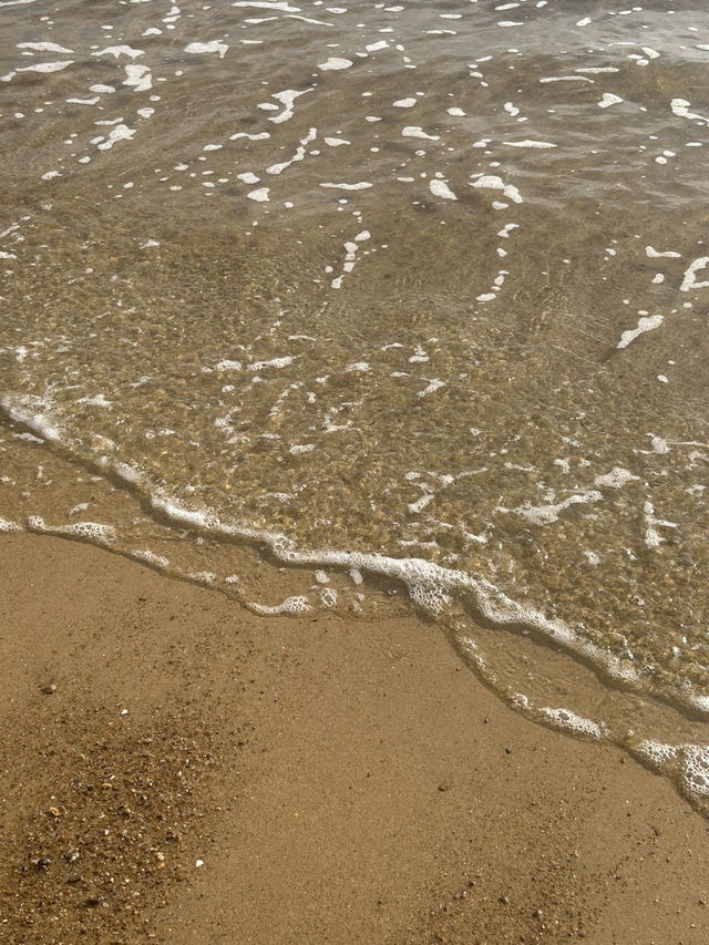 🏖️ 가족과 함께 즐거운 추억을, 천리포해수욕장 