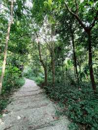 Summer Hiking Escape at Taman Tugu Forest Trail