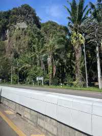 solo travel กระบี่3วัน 