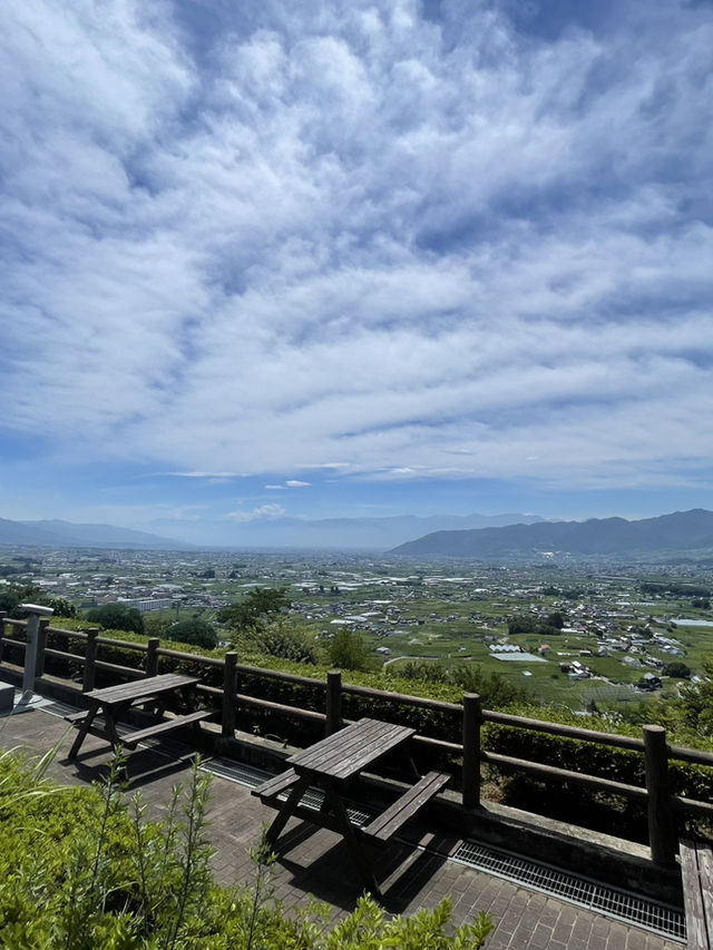 【山梨】葡萄の名産地でワインの試飲🍇