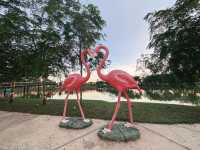 Flamingos at Quayside - KL  