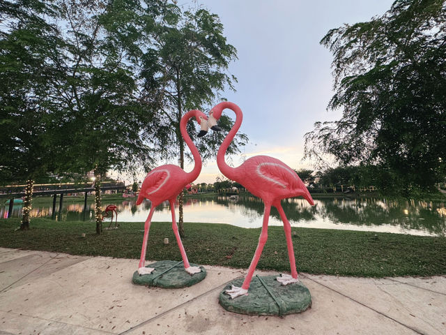 Flamingos at Quayside - KL  