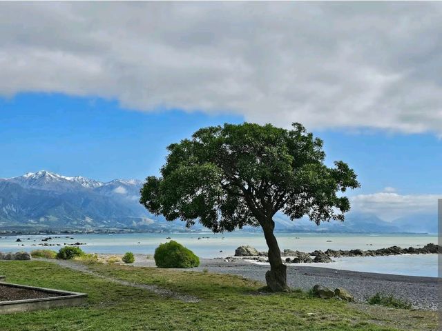 Kaikōura