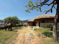 Hidden Peace at Buso Damak
