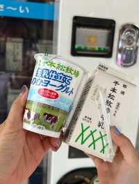 日本親子遊🇯🇵東京近郊，放羊體驗，千本松牧場🐴🐰🐄🐃🐑
