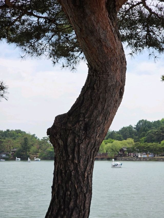 마음이 맑아지는 시간🌿