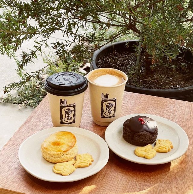 Pati coffee & plants