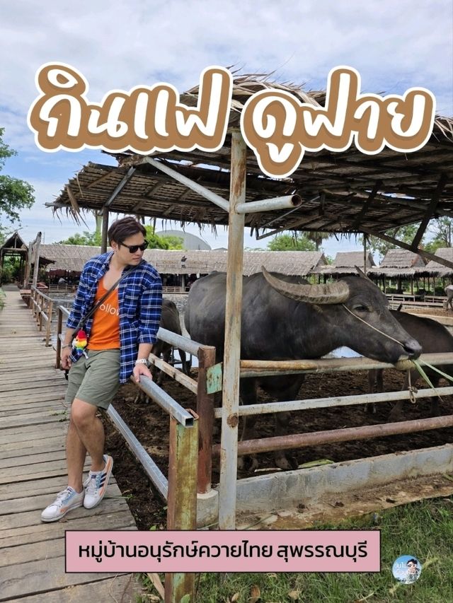 กินแฟ ดูฟาย สโลว์ไลฟ์ไปกับน้องควาย ณ หมู่บ้านอนุรั