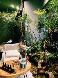 台北溫泉SPA會館推薦：台北森SPA足體養生館