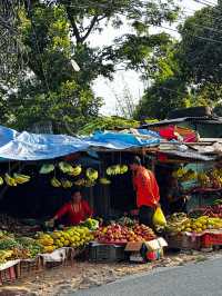 Surkhet the gateway of Jumla and rara 
