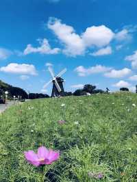 When in Tsurumi Ryokuchi Park