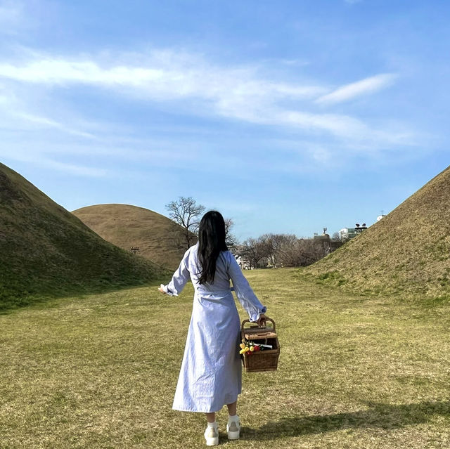 경주 피크닉 장소/물품대여/카페까지 정리!